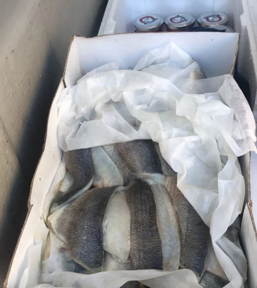 Fishmonger London 21 Fresh Sea bass fillets in a box delivered to a restaurant in Battersea