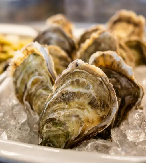 Oysters on Ice