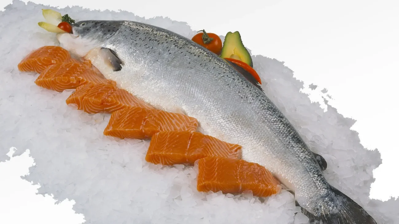 Whole and 120g Filleted Salmon on Ice