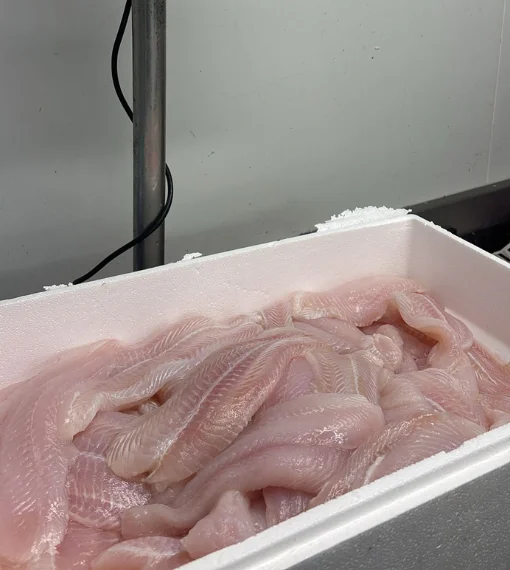 Fish Delivery Kensington - Basa(Pangasius) fillets