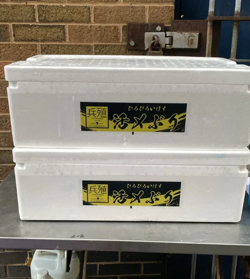 Seafood delivery Brixton – Fresh Yellowtail Hamachi Fillets