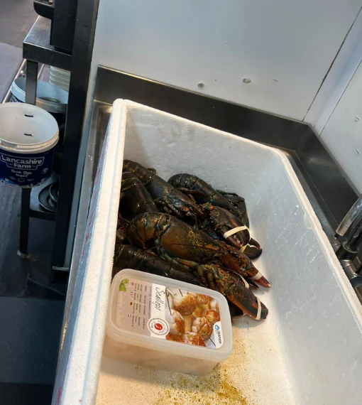 Fishmonger London 15 Live Canadian Lobster Delivery