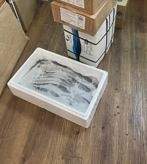 Fishmonger London 13 Seabass Fillet 170g Each Delivery