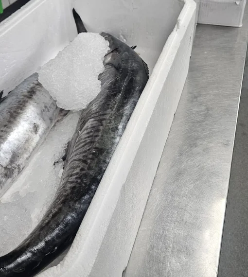 Fishmonger London 11 Spanish Mackerel Delivery