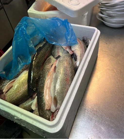 Fishmonger London 7 Whole Rainbow Trout Delivery