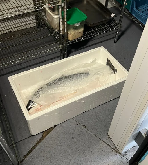 Fishmonger London 12 Whole Salmon 5-6 KG Size Delivery